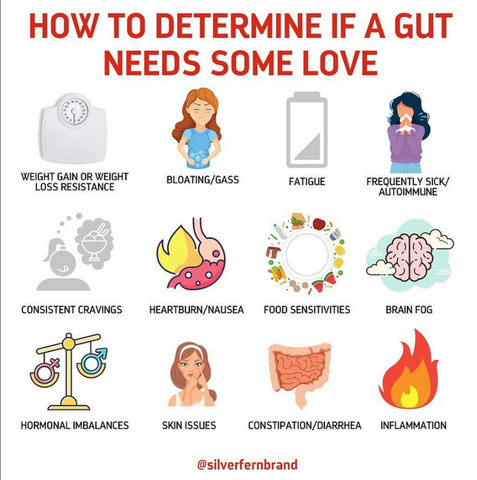 Symptoms of an unhealthy gut-constipation, diarrhea, weight gain, fatigue, bloating/gas, acne, etc.