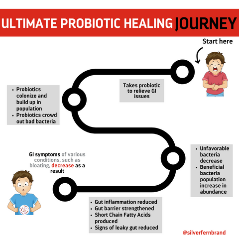 Ultimate Probiotic not only corrects poor gut health but rapidly improves it-
