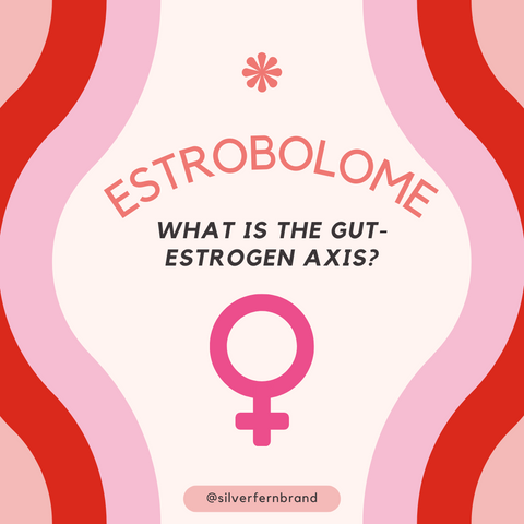 Estrobolome - gut health, womens health, estrogen