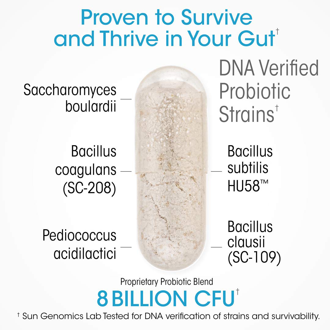 Ultimate Probiotics thrive in the gut