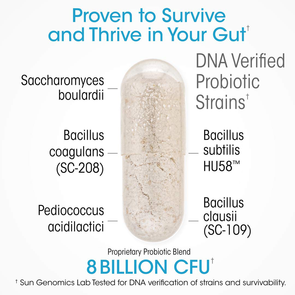 Ultimate Probiotics thrive in the gut