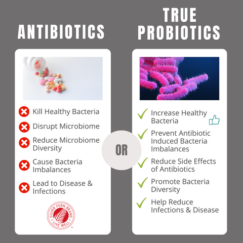 True probiotics can enhance the benefits of antibiotics as well help with the issues they cause - gut health, probiotics