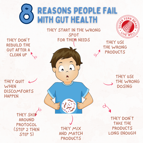 8 Reasons people fail with gut helath - gut health, protocol, supplements