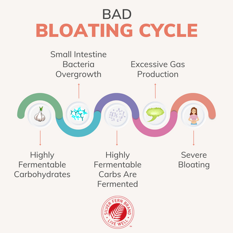 Experiencing bad bloating and gas from FODMAP foods? - gut health, digestive enzymes