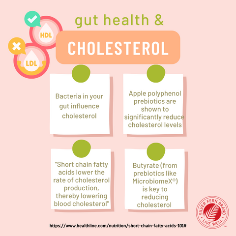 Gut health and cholesterol management - gut health, prebiotics, probiotics