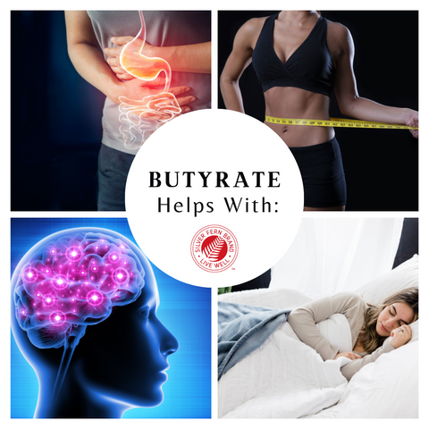 Increasing butyrate can help many aspects of health - gut health, prebiotics