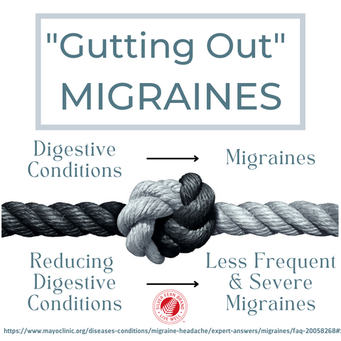 Are migraines and gut health linked? Yes! - probiotics, cleanse, immunoglobulins, headaches, antibodies, dysbiosis