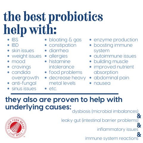 What's the difference between all the different probiotics on the market? A LOT - gut health, supplements