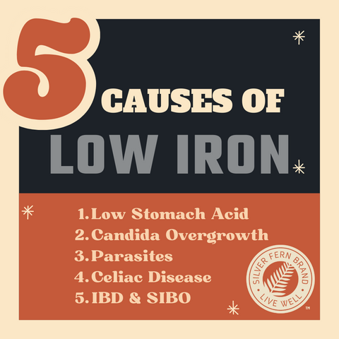 5 causes of low iron - gut health, reflux, heartburn, candida
