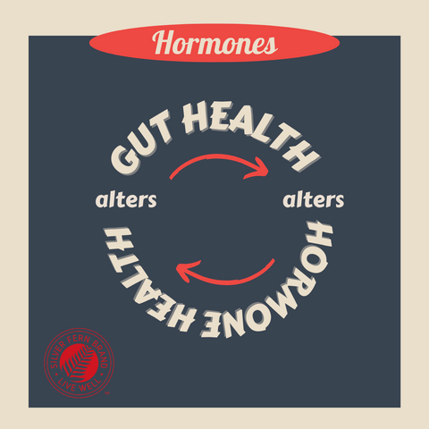 Gut health and hormone health affect each other - gut health, hormones, estrogen
