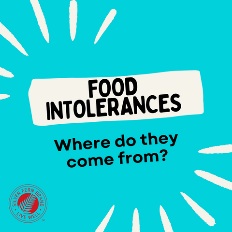 Where do food intolerances come from? - gut health, leaky gut, SIBO, digestive enzymes, FODMAP