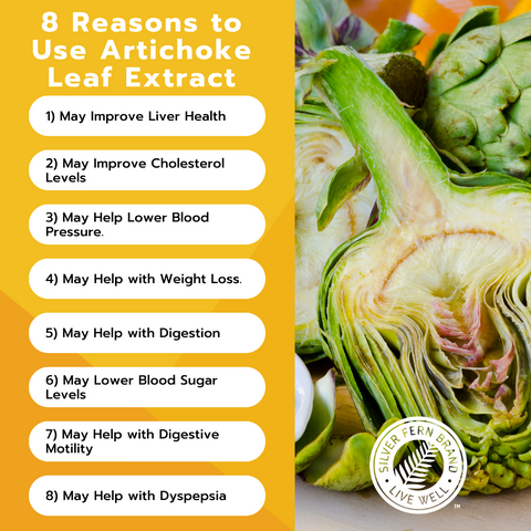 8 reasons to use artichoke leaf extract - gut health, constipation