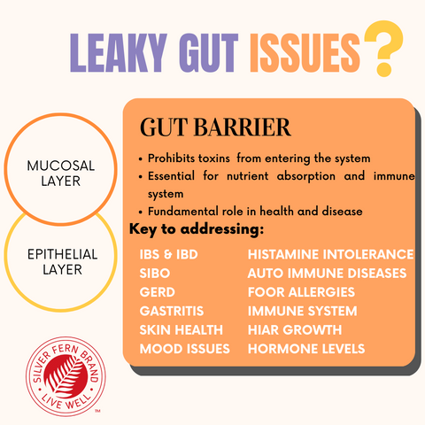 The mucosal layer needs to be addressed when fixing leaky gut issues - gut health, reflux, heartburn, food allergies, histamine intolerance