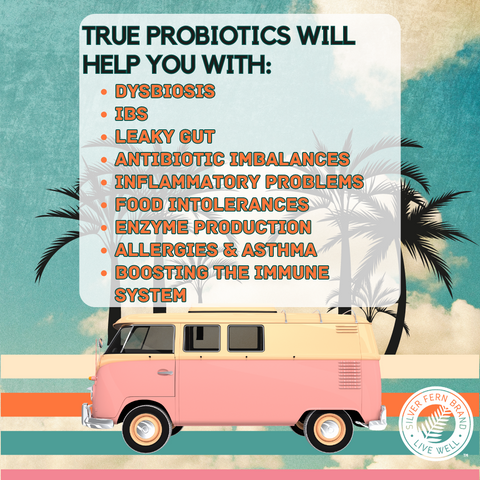 All probiotics are not the same, so what should you be looking for? - gut health, probiotics
