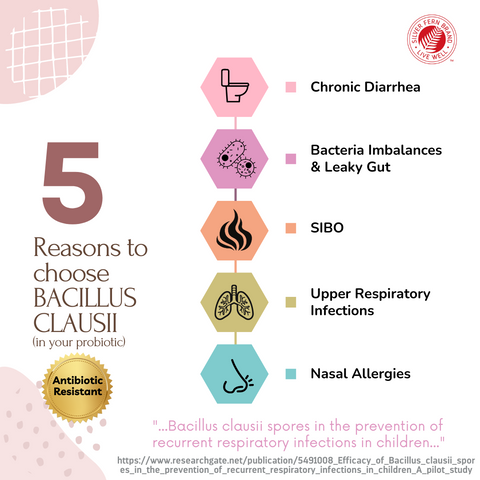 5 Reasons you want B. Clausii in your probiotic - gut health, probiotics, leaky gut, IBS, allergies