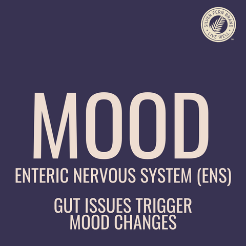 Your mood is related to your gut health, what's the science? - gut health, mental health, depression, anxiety