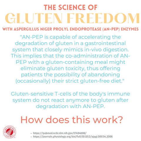 AN-PEP enzymes help properly breakdown gluten in the stomach-gut health, gluten free, gluten intolerance, celiac