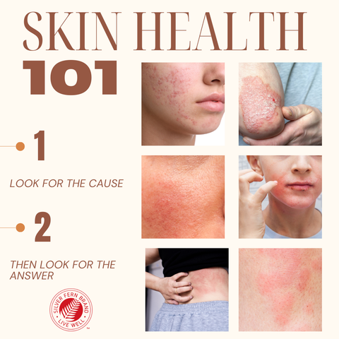 Skin Health 101 - skin health, topical, gut health, liver health