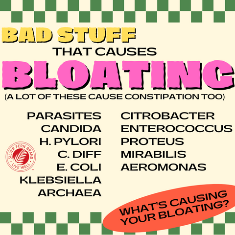 What's causing your bloating? - gut health, gas, gastritis, gastroparesis