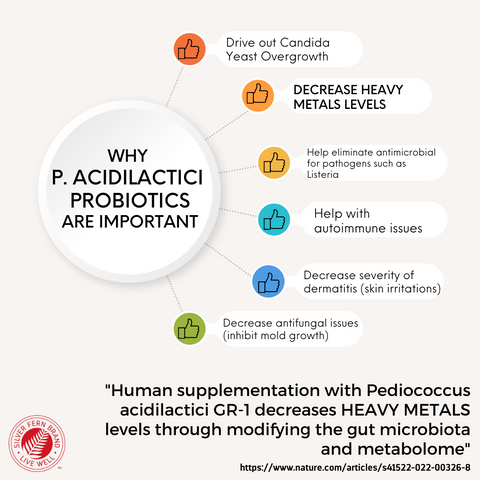 P. Acidilactici helps with heavey metals, candida overgrowth, inflammatory & mold issues - gut health, probiotics
