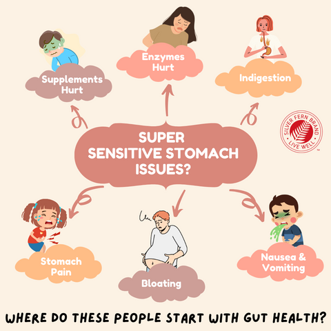 Do you have super sensitive stomach issues? - gut health, reflux, heartburn, gastritis