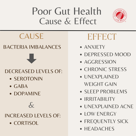 Gut health affects mood, weight gain, acne, and so much more