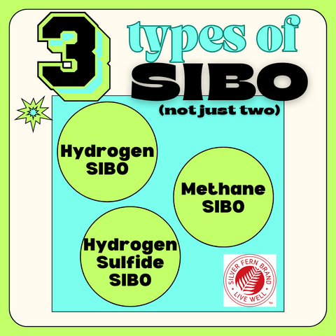 3 types of SIBO, and why don't antibiotics work - gut health, bloating, gas