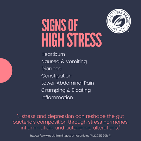 Stress plays a factor in gut health - gut health, probiotics, anxiety