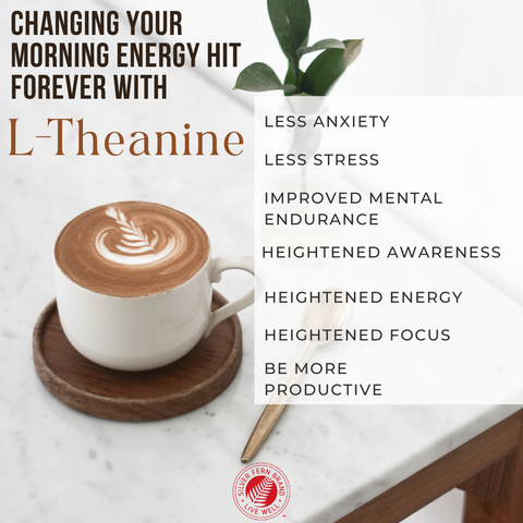 Get the most out of your caffeine with L-Theanine