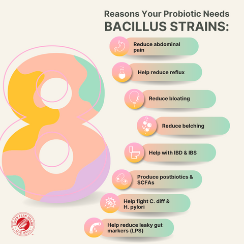 Bacillus strains are strains every probiotic needs - gut health, inflammation, diarrhea, constipation