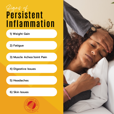 Persistent inflammation causes a myriad of other health issues - gut health, leaky gut, probiotics