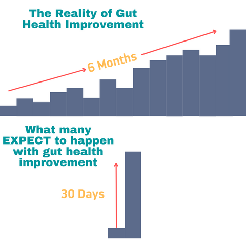 Gut Health Improvement will take time-Probiotics, Digestive Enzymes, Cleanse