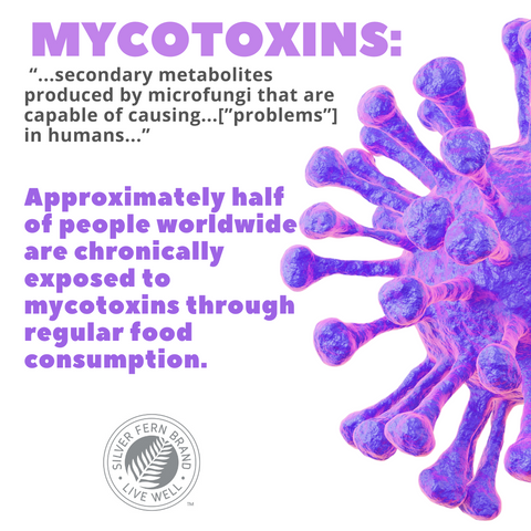 What helps bind to mycotoxins? - gut health, detox, immunoglobulins, antibodies