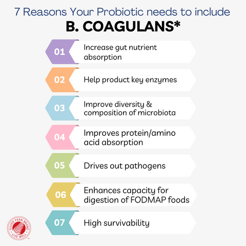 Why should your probiotic include B. coagulans?
