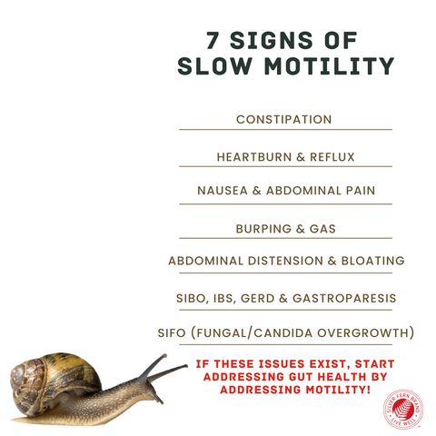 There are many issues associated with slow motility - constipation, bloating, gas, IBS, SIBO, GERD