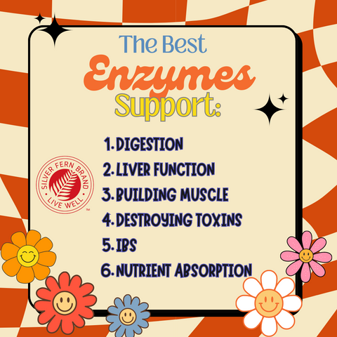 Do digestive enzymes correct the issue at the cause? - gut health, digestion, bloating