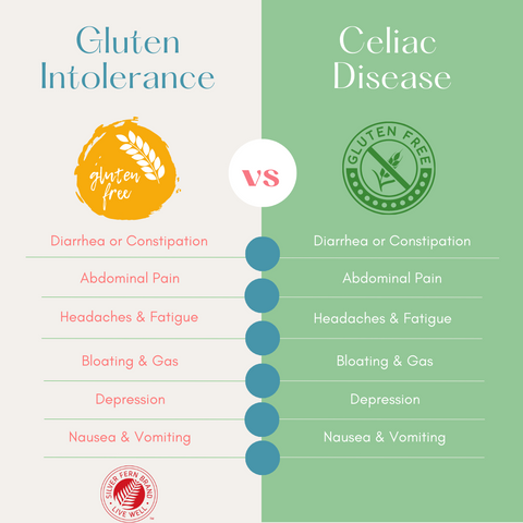 Gluten Intolerance vs Celiac Disease - gut health, immunoglobulins
