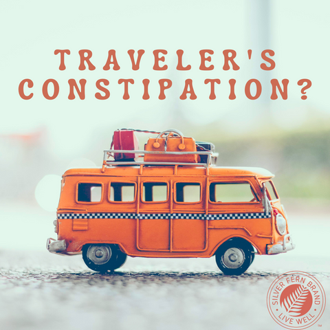 Traveler's Constipation - gut health, constipation, digestion