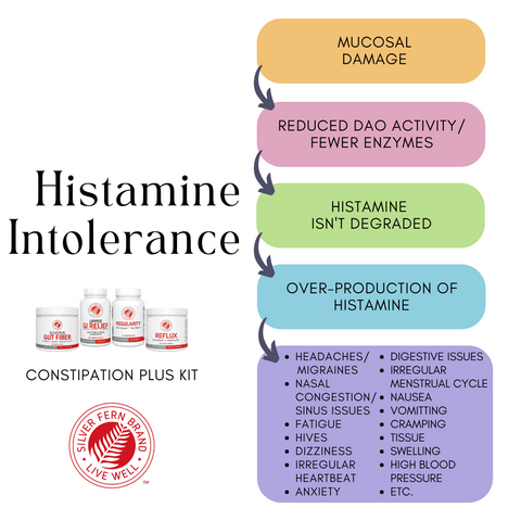 The breaking down to histamine intolerance and the rebuilding - gut health, reflux, heartburn