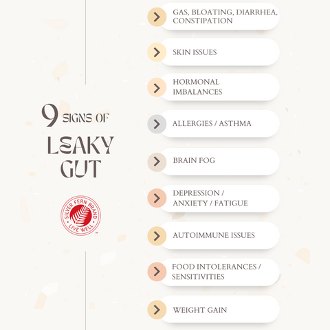 9 signs of leaky gut - gut health, probiotics, immunoglobulins