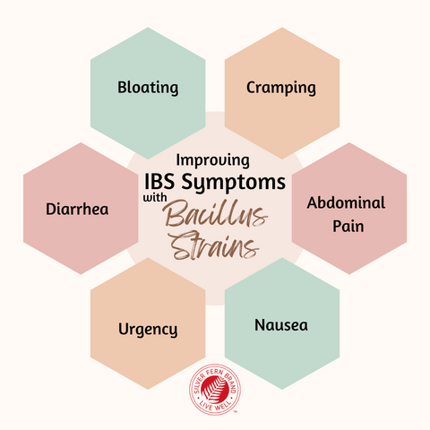 Bacillus strains are shown to help with IBS symptoms - gut health, probiotics, constipation, diarrhea