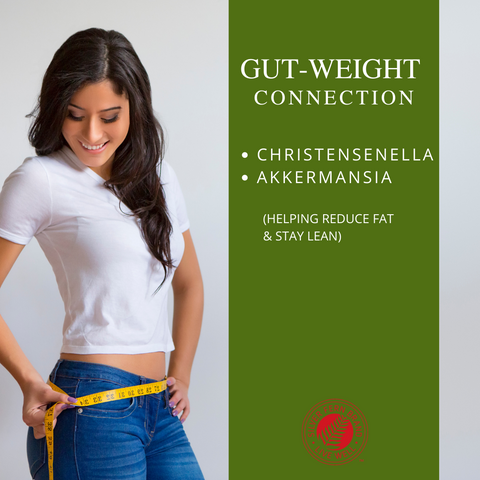 Changing gut bacteria can help change weight loss results - gut health, probiotics, prebiotics, metabolism