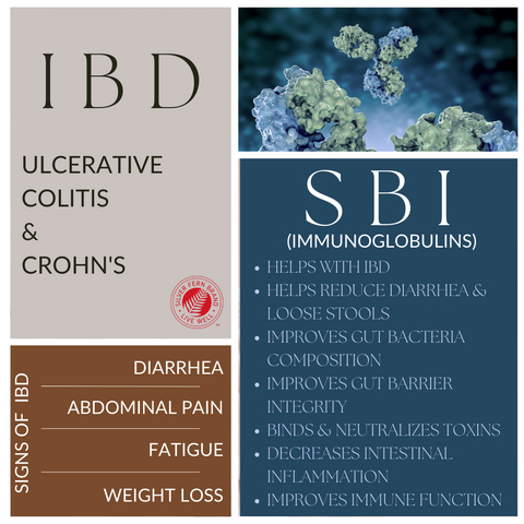 The science shows loading up on Immunoglobulins helps address IBD issues - gut health, colitis, crohns