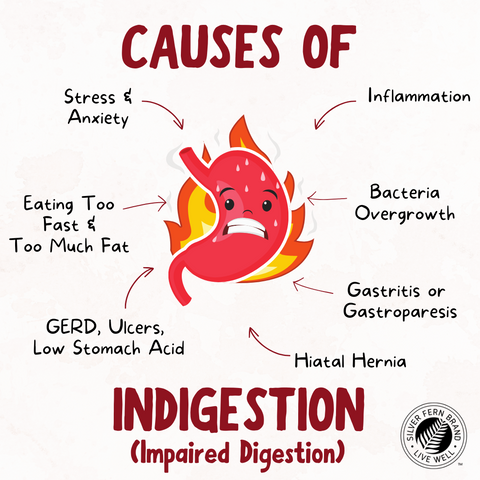 Causes of Indigestion - gut health, reflux, heartburn, gastritis