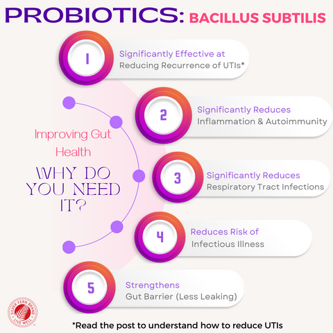 B. Subtilis helps prevent recurrent UTIs and other infections - gut health, antimicrobial