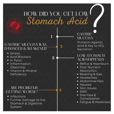 Low stomach acid may be the cause of your reflux/heartburn. What can cause low stomach acid? - gut health, acid blockers