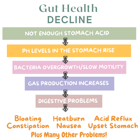 How to help gut health decline and see less bloating, heartburn, reflux, constipation, nausea