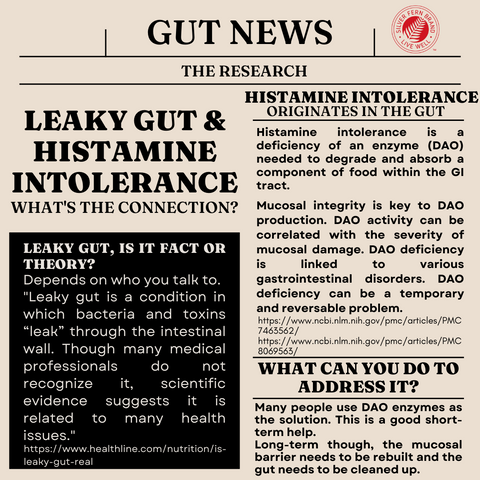 What's the connection between leaky gut & histamine intolerance? - gut health, probiotics, reflux, cleanse