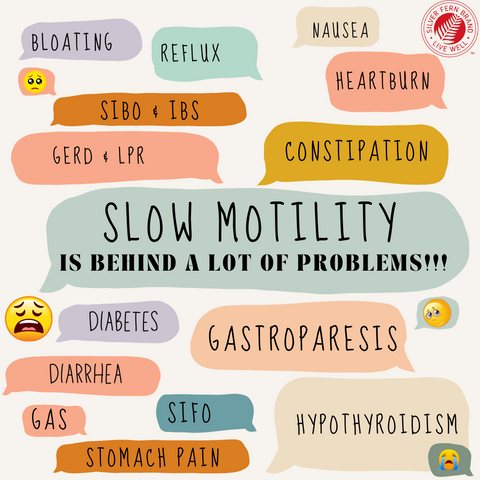 Is slow motility the root cause of your other issues?  - gut health, constipation