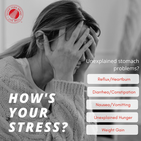 If your life is stressful (who's isn't), you need an amazing gut health plan - mental health, anxiety, depression